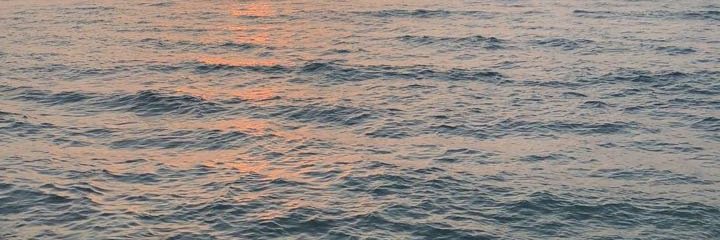 wtdhsa's profile banner image