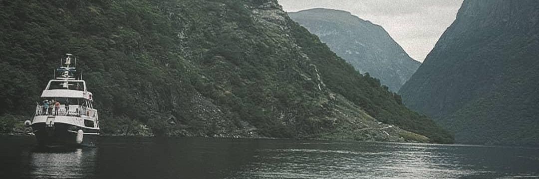 Imogen. Vote Greens 💚 banner