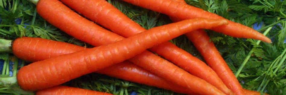 wallytherabbit's profile banner image