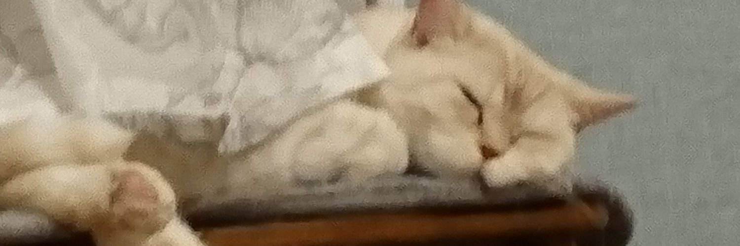 l_lucifl's profile banner image