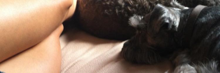 LilynChuck's profile banner image