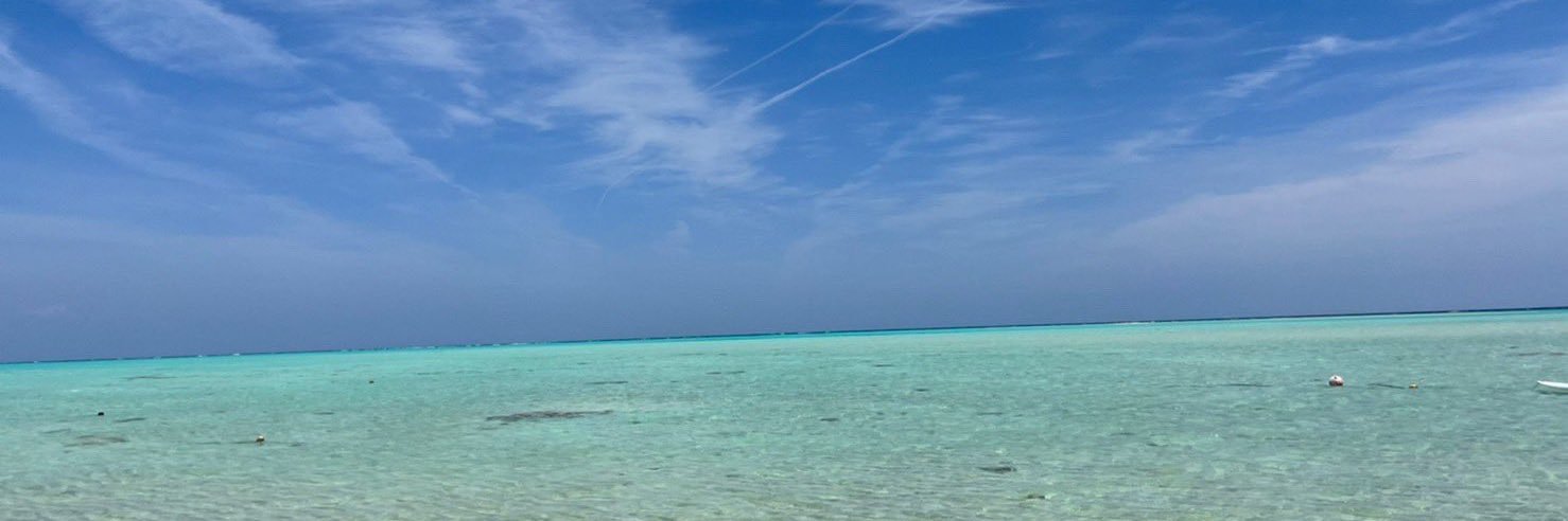 natural_28's profile banner image