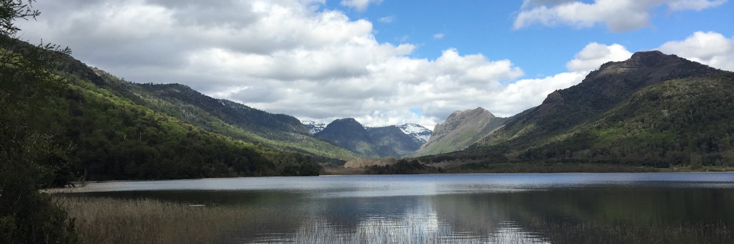 Pamela Gana Cornejo banner