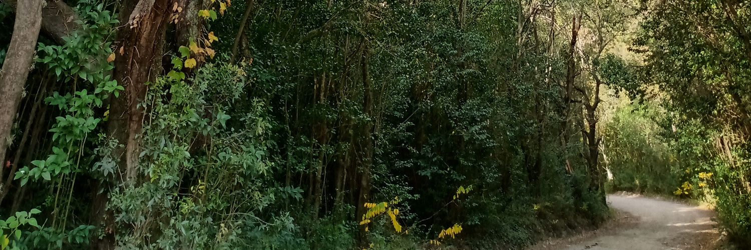 Vivelo360's profile banner image