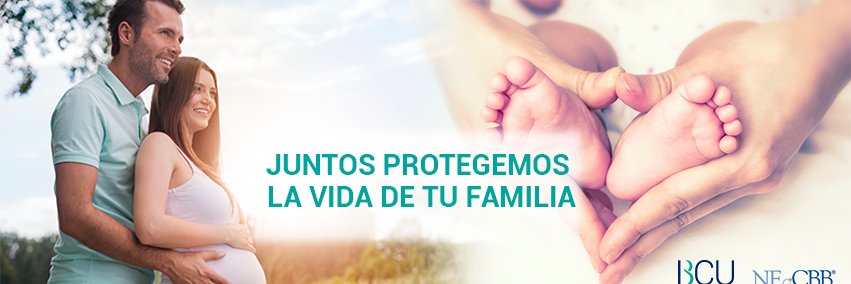 bcu_peru's profile banner image