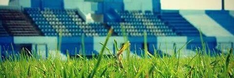feergerosa's profile banner image