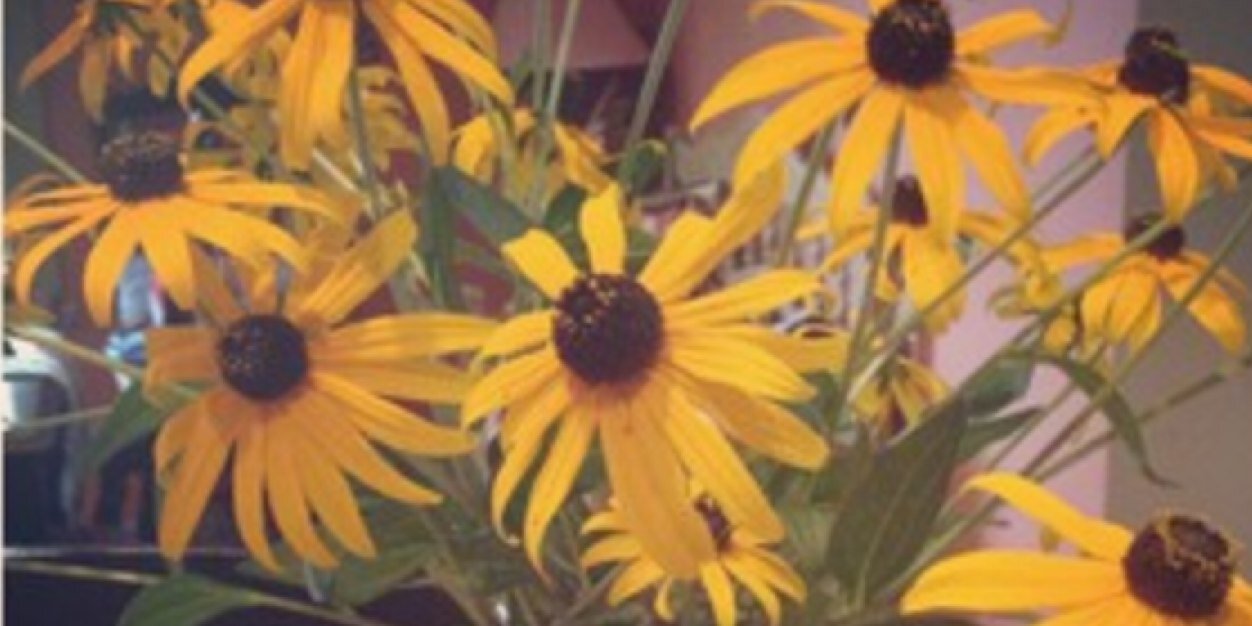 smallerworld's profile banner image