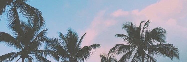 Axel_RodrigoOk's profile banner image