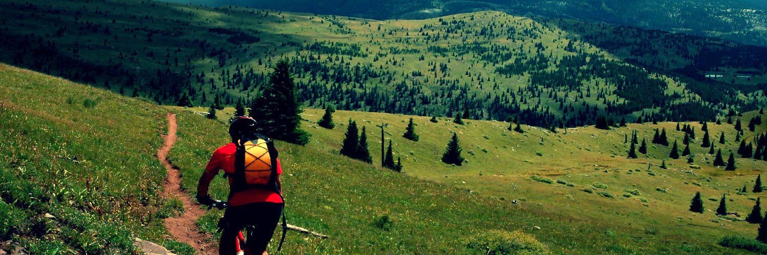 SamirHalderWORK's profile banner image