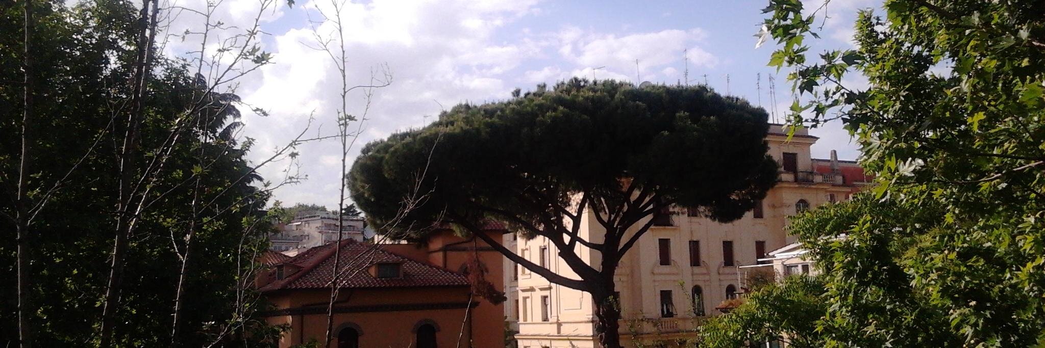 edelgio's profile banner image