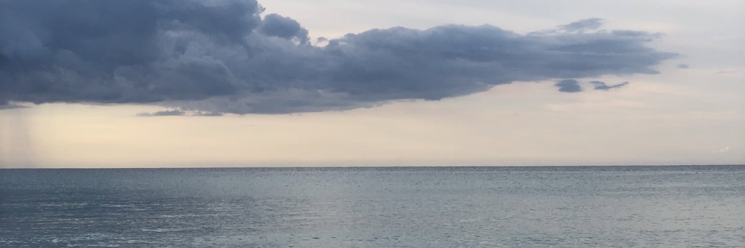 petitamarieta's profile banner image