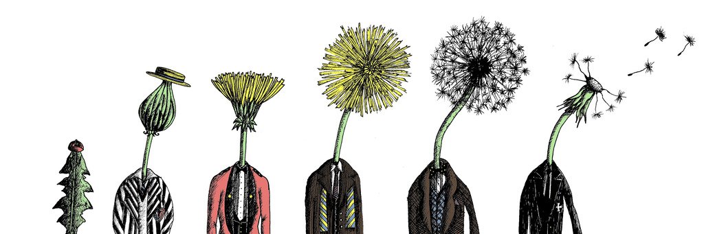 annawaymack's profile banner image