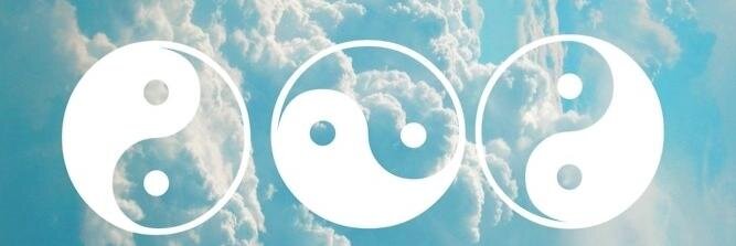 lulicamara's profile banner image