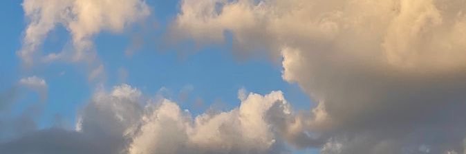 lupisbr8's profile banner image