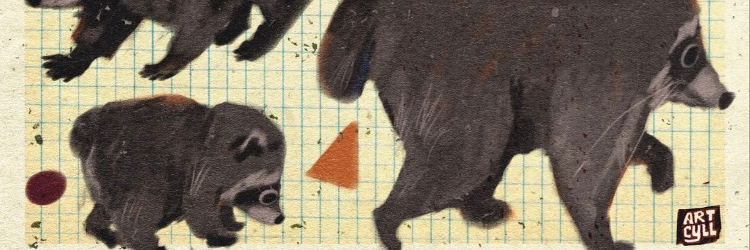 timohhhthy's profile banner image