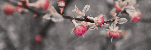 마이드-에프 banner