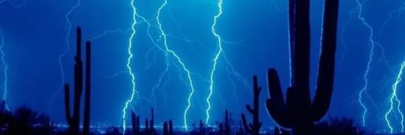 Dimitar Petkov banner