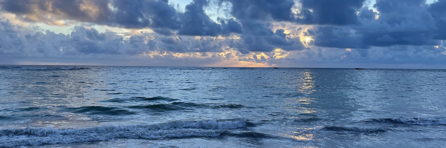 yourstrulyc_'s profile banner image