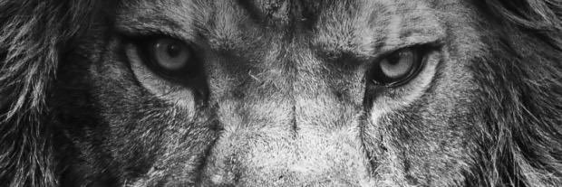 hr_clement's profile banner image