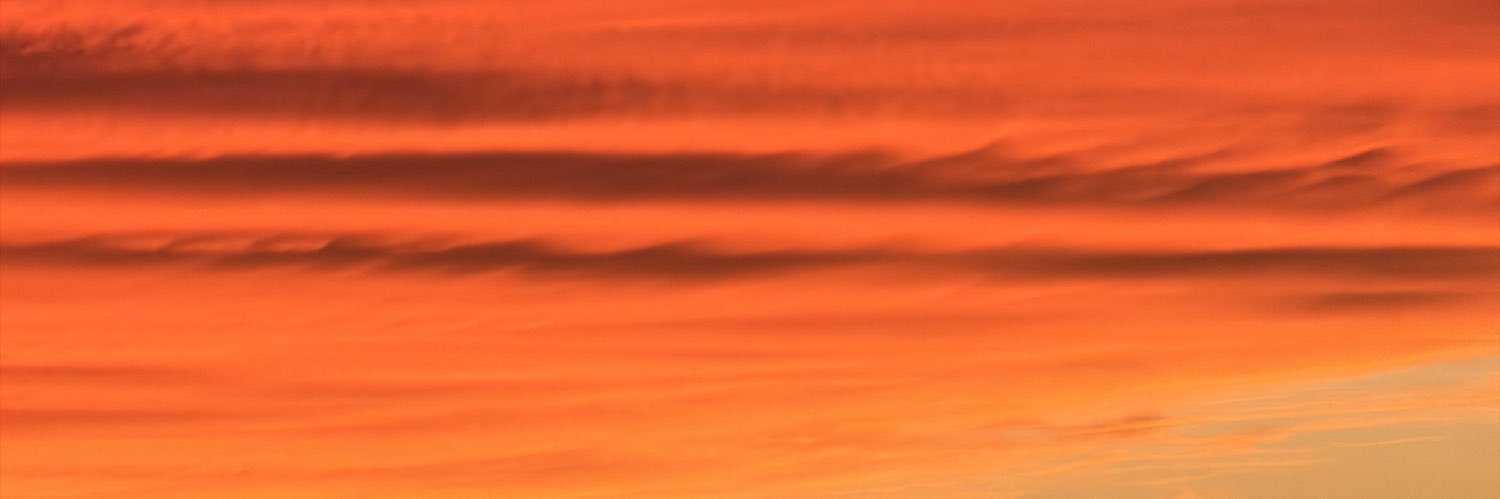 aacmbrand's profile banner image