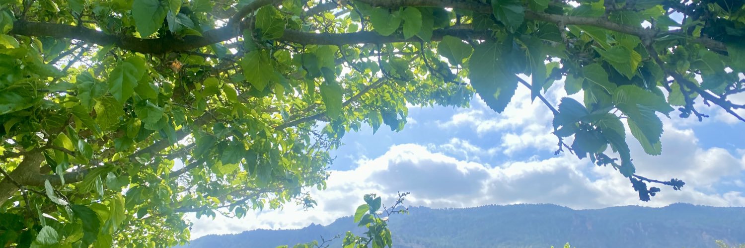 María José Alarcón banner