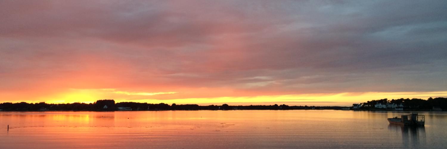 Benoît Barré banner