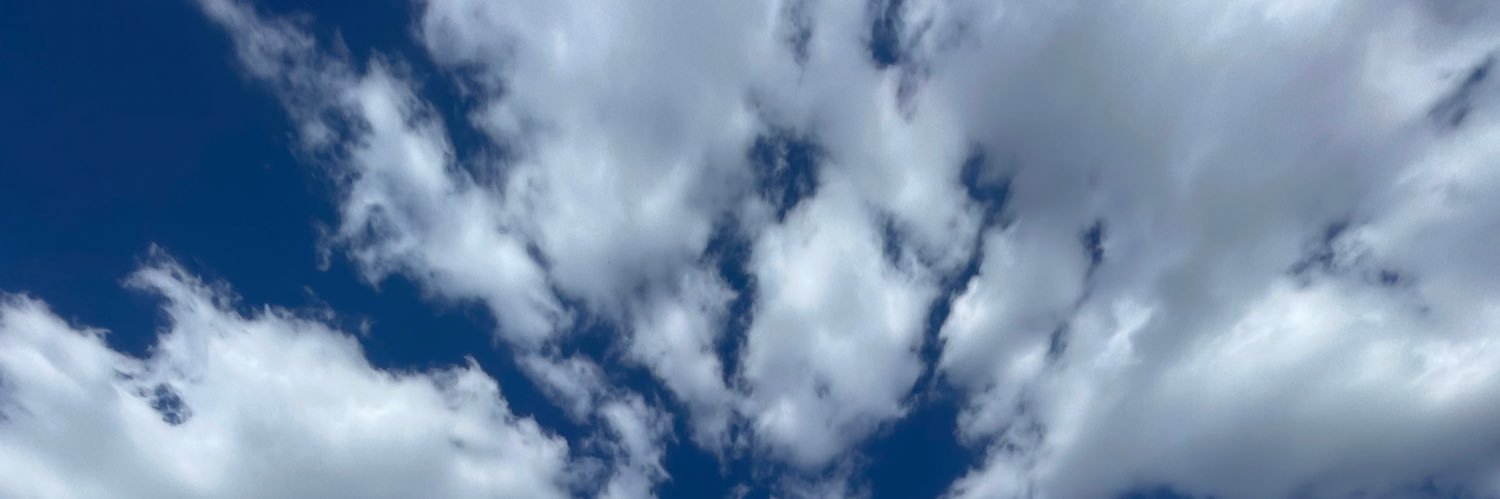 mmervyss's profile banner image