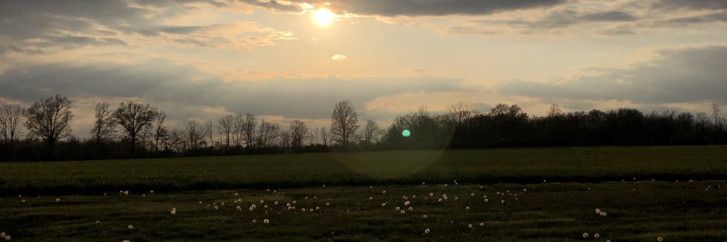 summerwysong's profile banner image