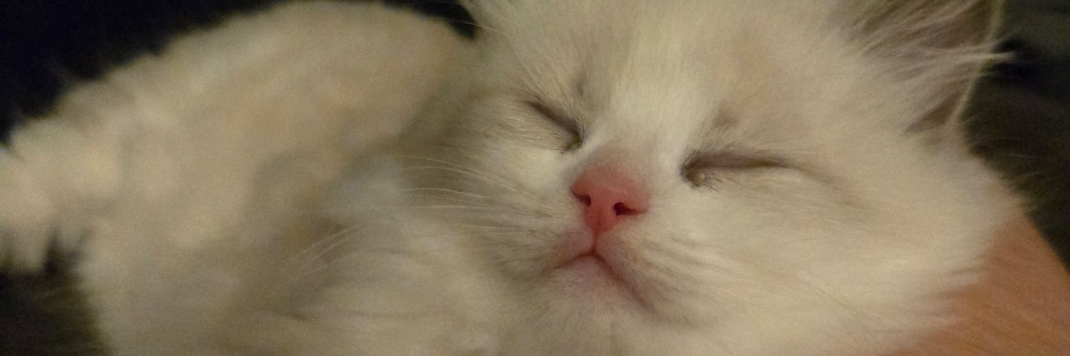 peanemis's profile banner image