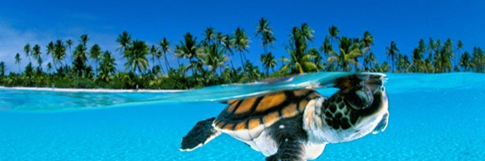 deborahg48's profile banner image