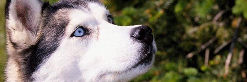 SammPR_'s profile banner image