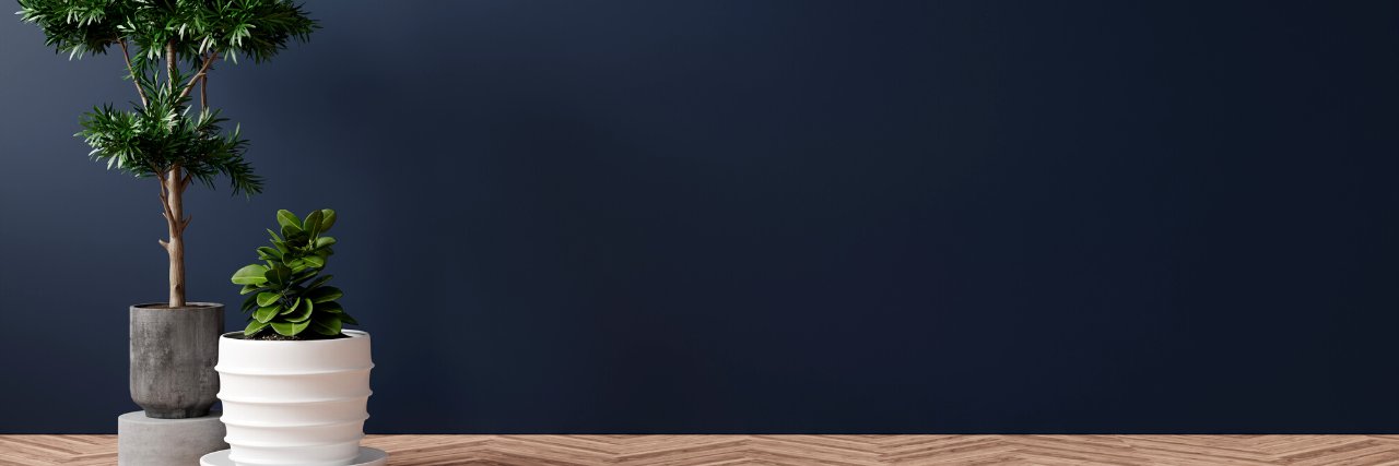peterabull's profile banner image