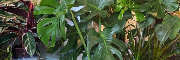 In2TheGarden Profile Banner