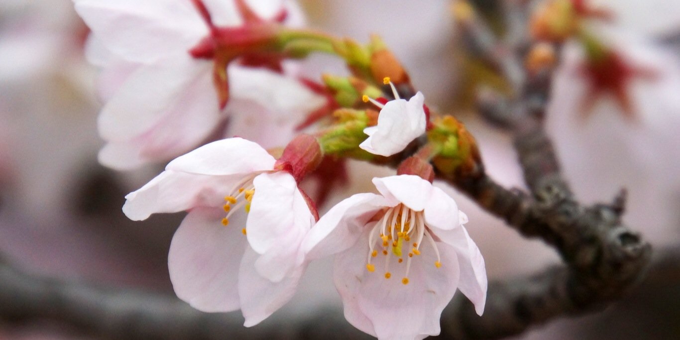 kokimoto0905's profile banner image