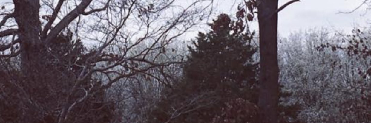 paulabrewer's profile banner image