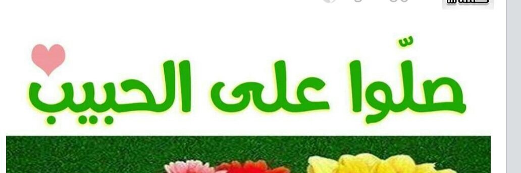 majed022008's profile banner image