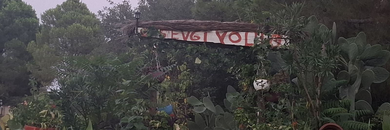 flymn34's profile banner image