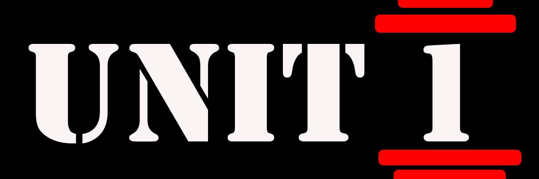 Claire Mc Glynn banner