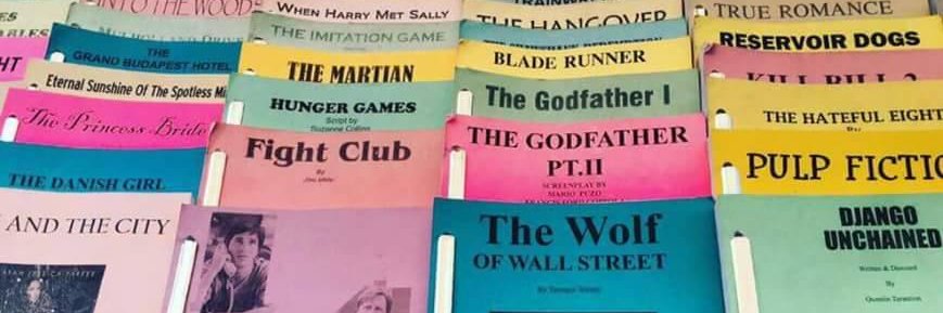 Rachele Mocchetti banner