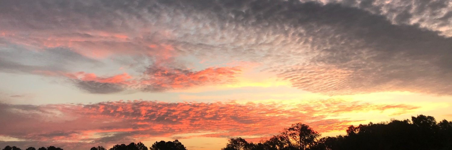 DaveyD23's profile banner image