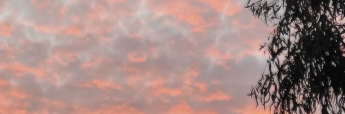 selinndidem's profile banner image