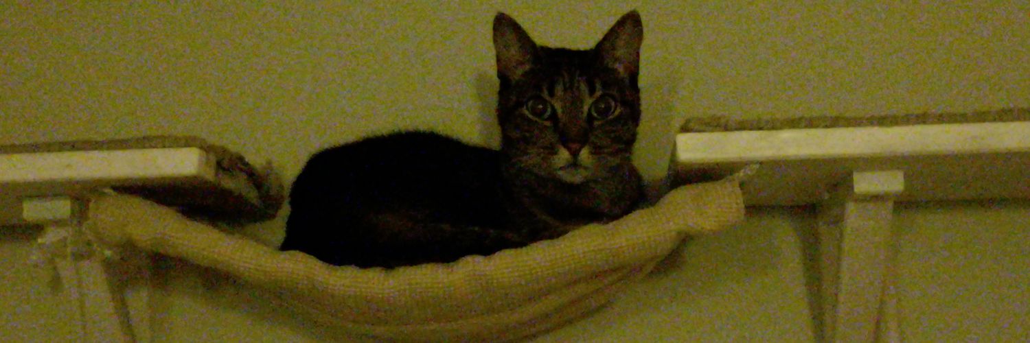 catempipat's profile banner image