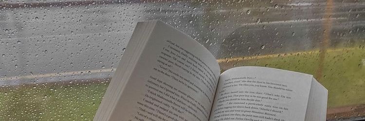 cold 𐙚 banner