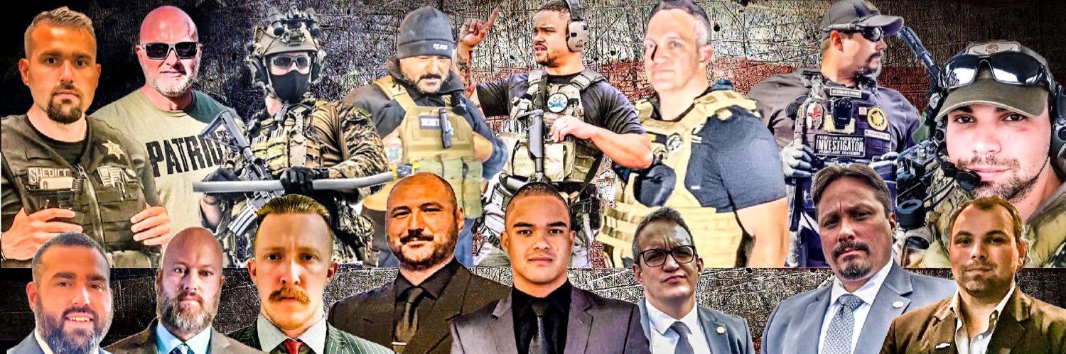 Patrick Collis Spartan Investigations, Guardians banner