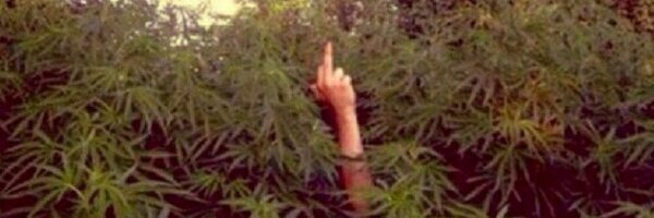 __KingJONESS Profile Banner