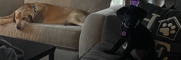 TheRealShep22 Profile Banner