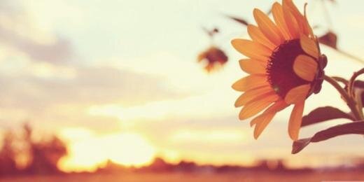 _LoveYoselin's profile banner image