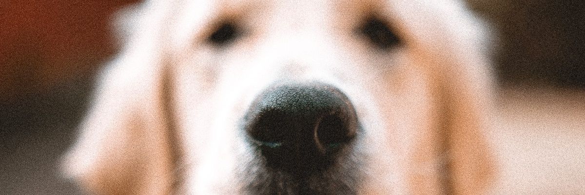 AgustinSabas's profile banner image