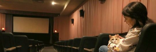 CinemaRochester's profile banner image