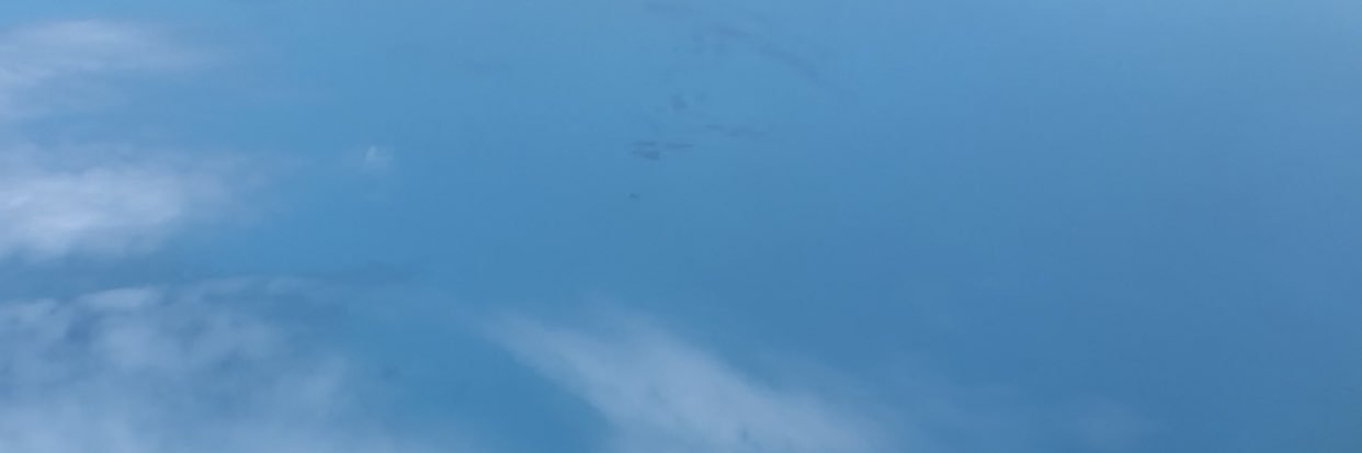 TrimaicanQueen's profile banner image